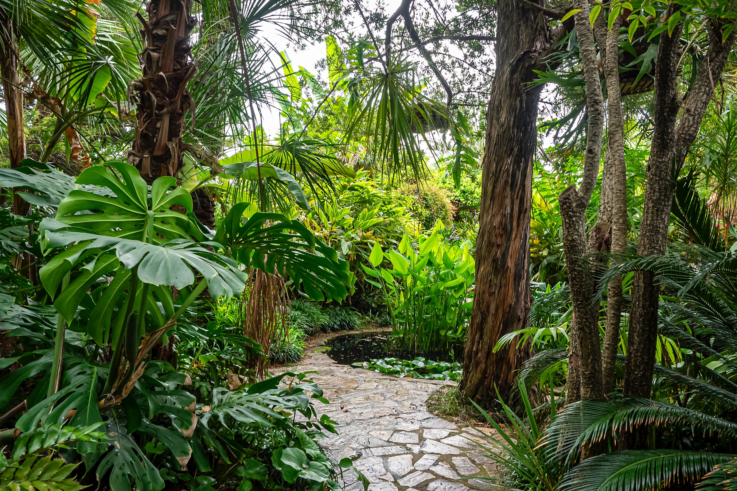 Botanical gardens blanes